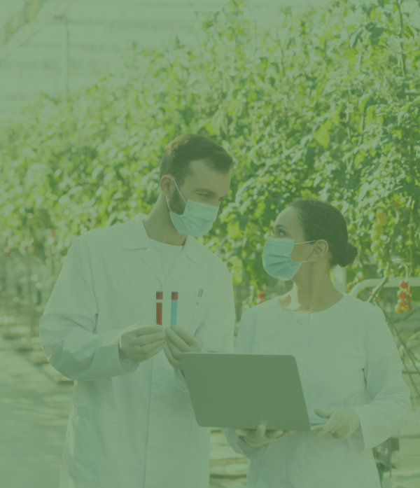 Empresa agrícola con operaciones de campo